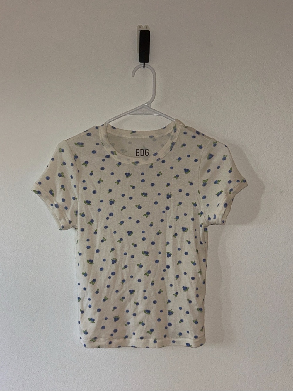 BDG Tee with Blueberries